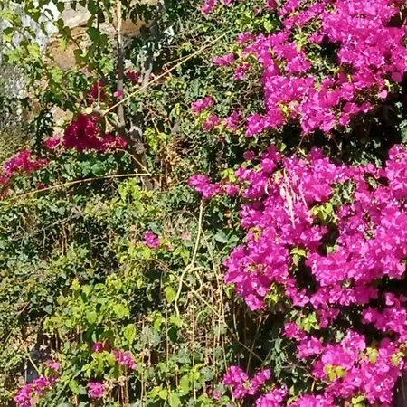 Agora Center Building - 14 Apartment *