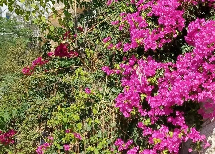 Agora Center Building - 14 アパート *